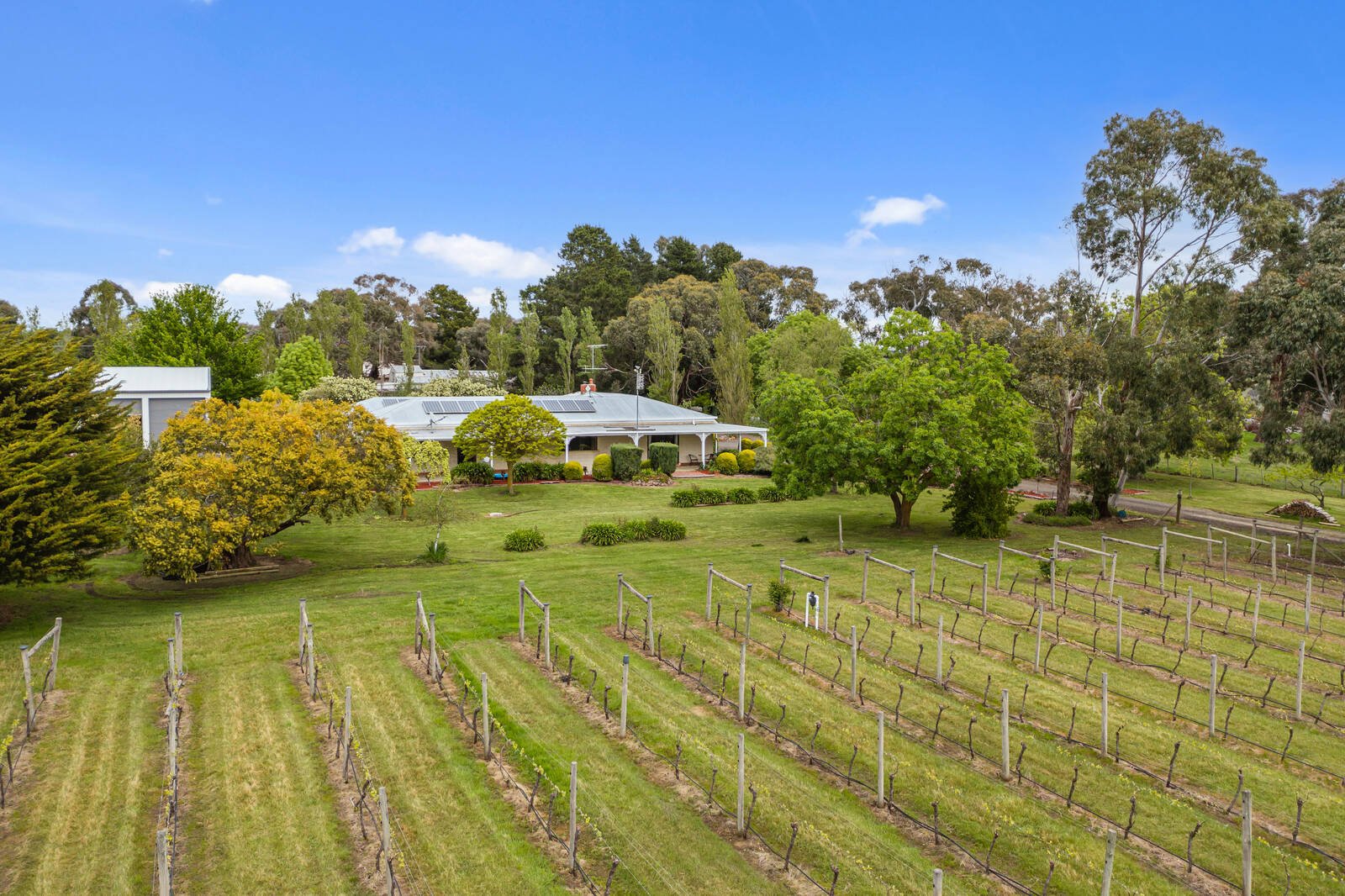 Real Estate and Property in 199 Zig Zag Road, Drummond North, VIC