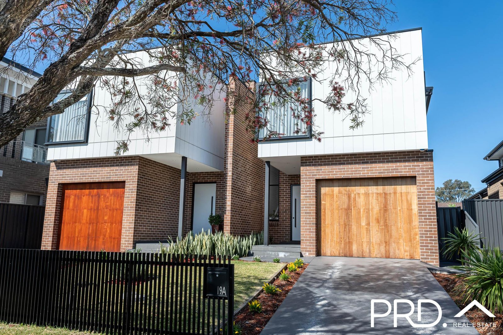19a Baldi Avenue PANANIA 1