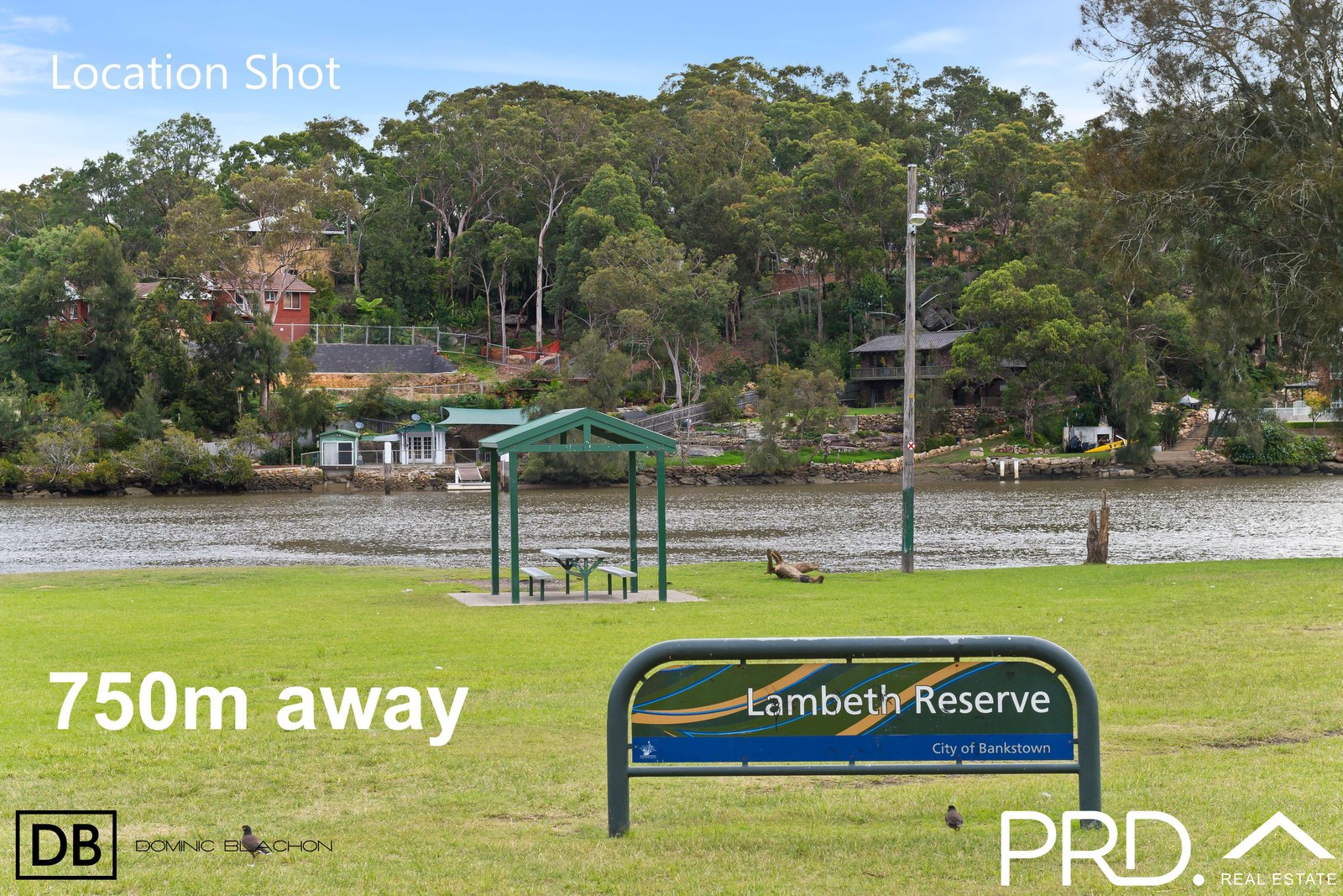 19A Freda Street PANANIA 11