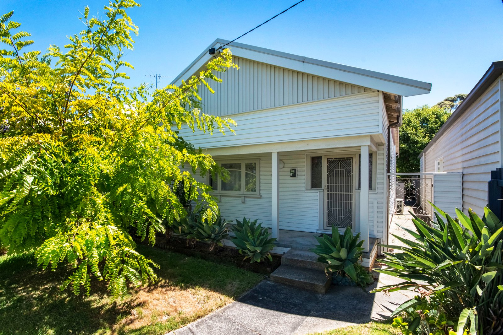 Gallery: 19A Thorne Street