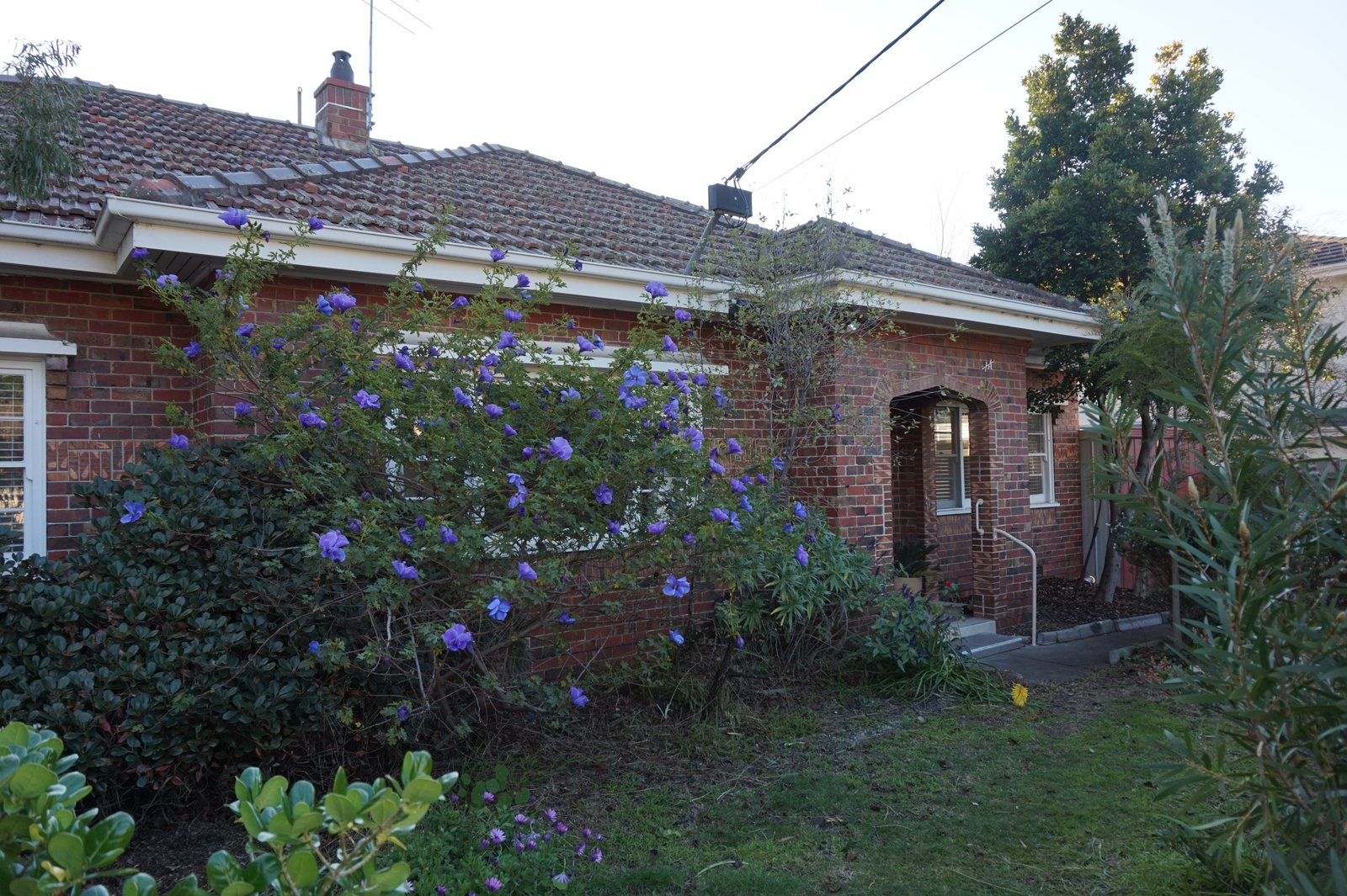Gallery: 1A Deakin Street South