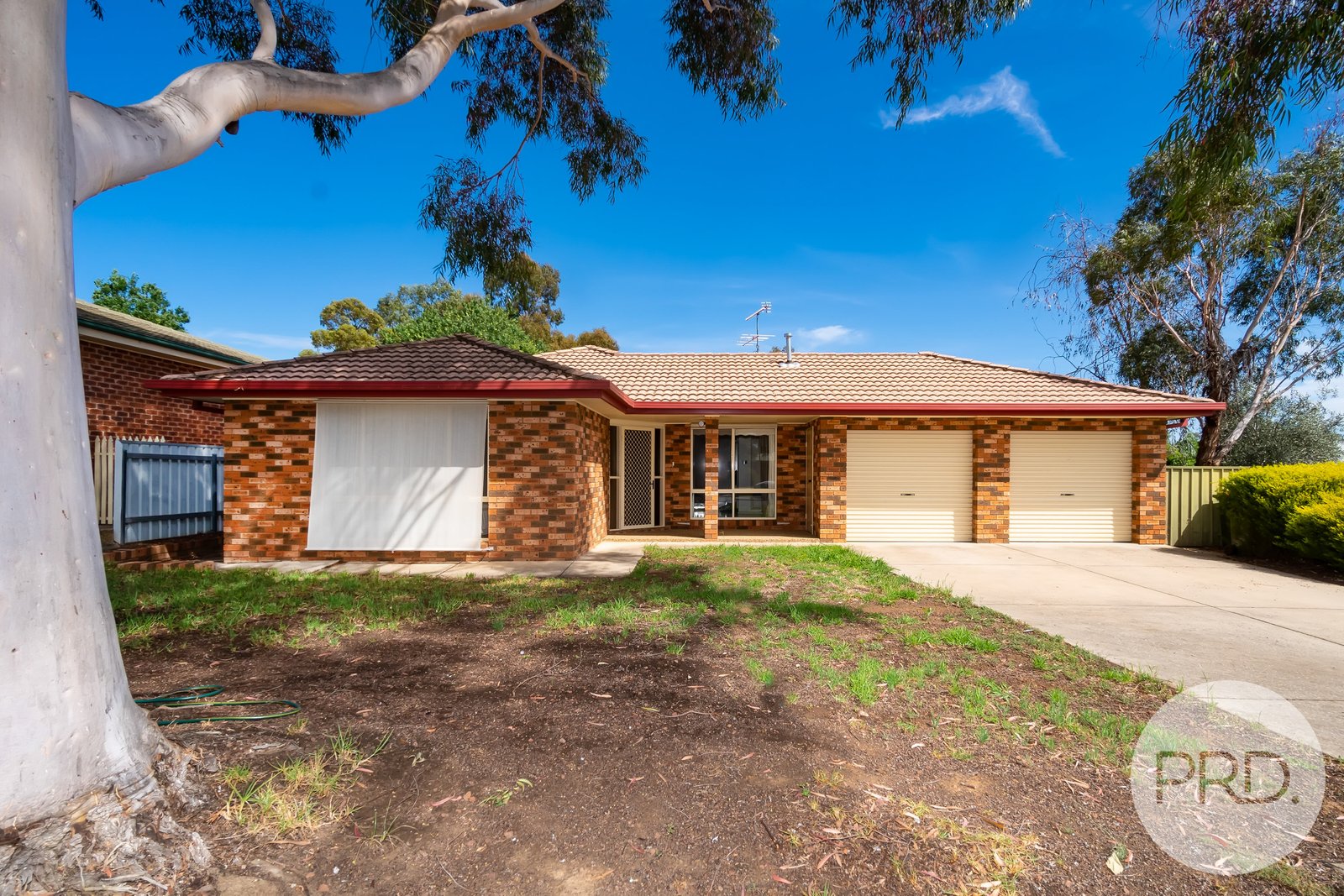 1A Kurrajong Avenue FOREST HILL 1