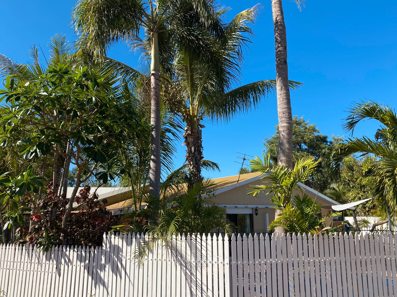 1A Male Court BROOME 11