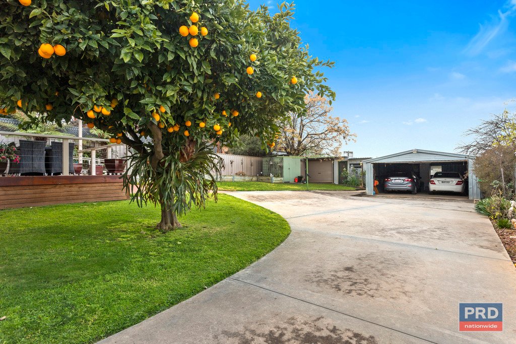 1a Rose Street CALIFORNIA GULLY 20
