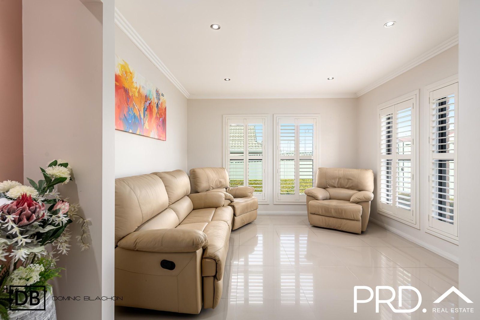 1b Eileen Street PICNIC POINT 2