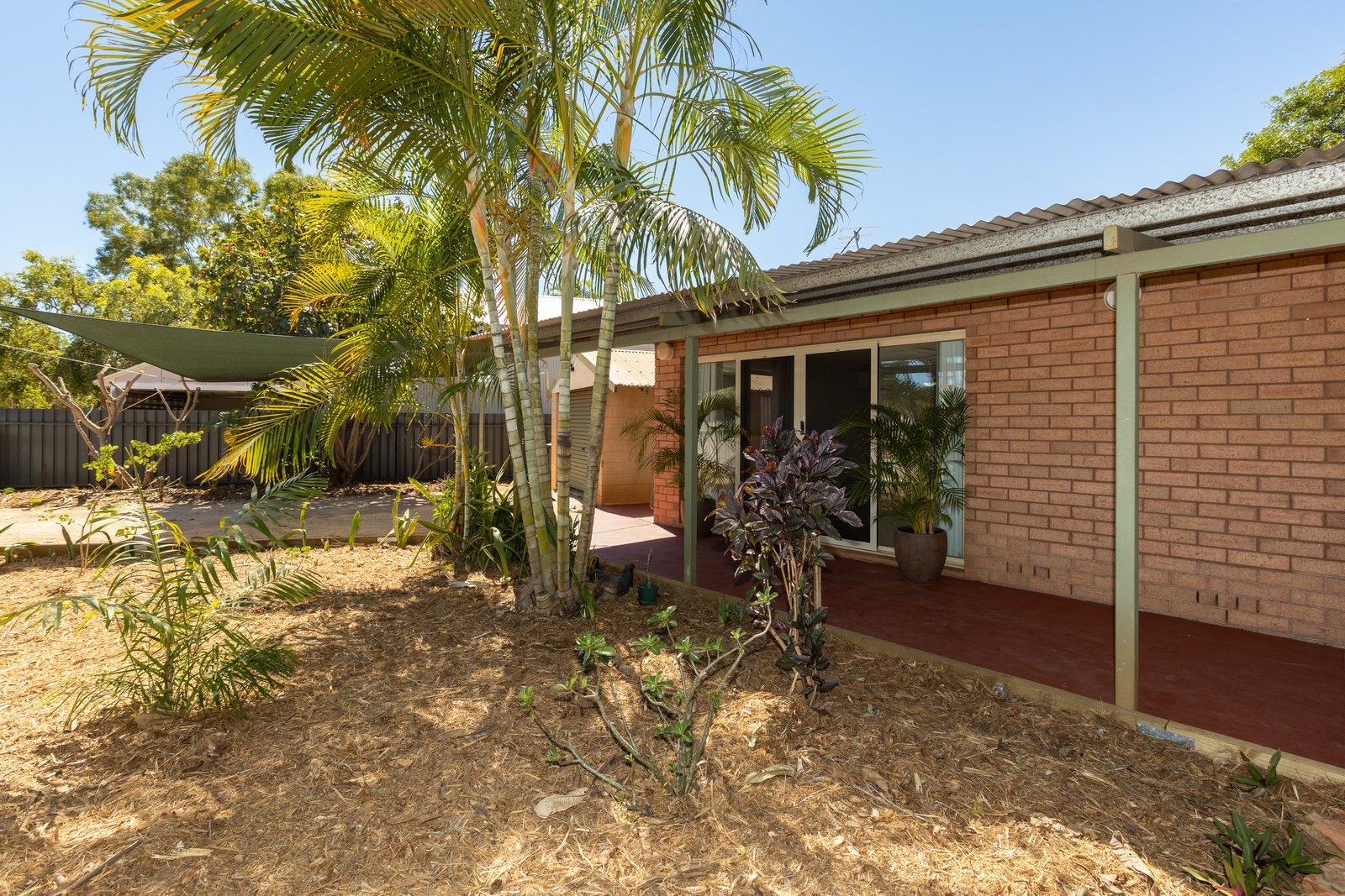 1B Male Court BROOME 3