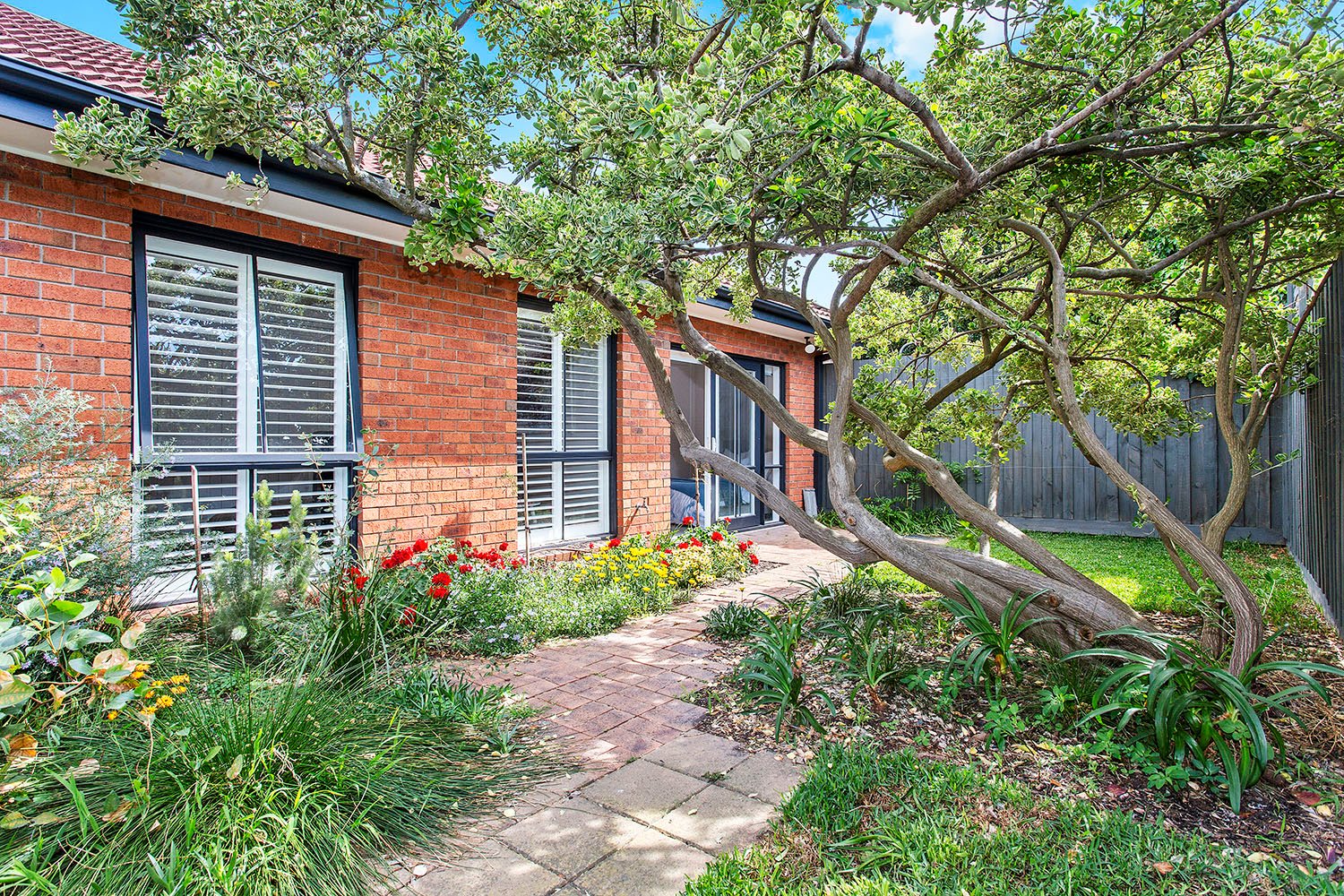 Gallery: 1B Tibbles Street