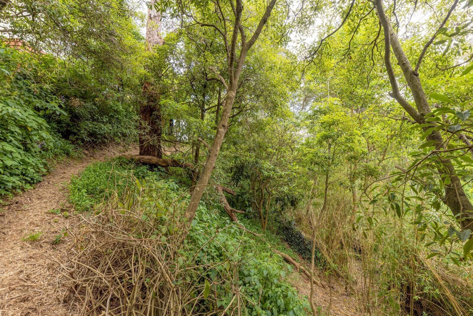 Real Estate and Property in 2-4 Wonga Lane, Mccrae, VIC