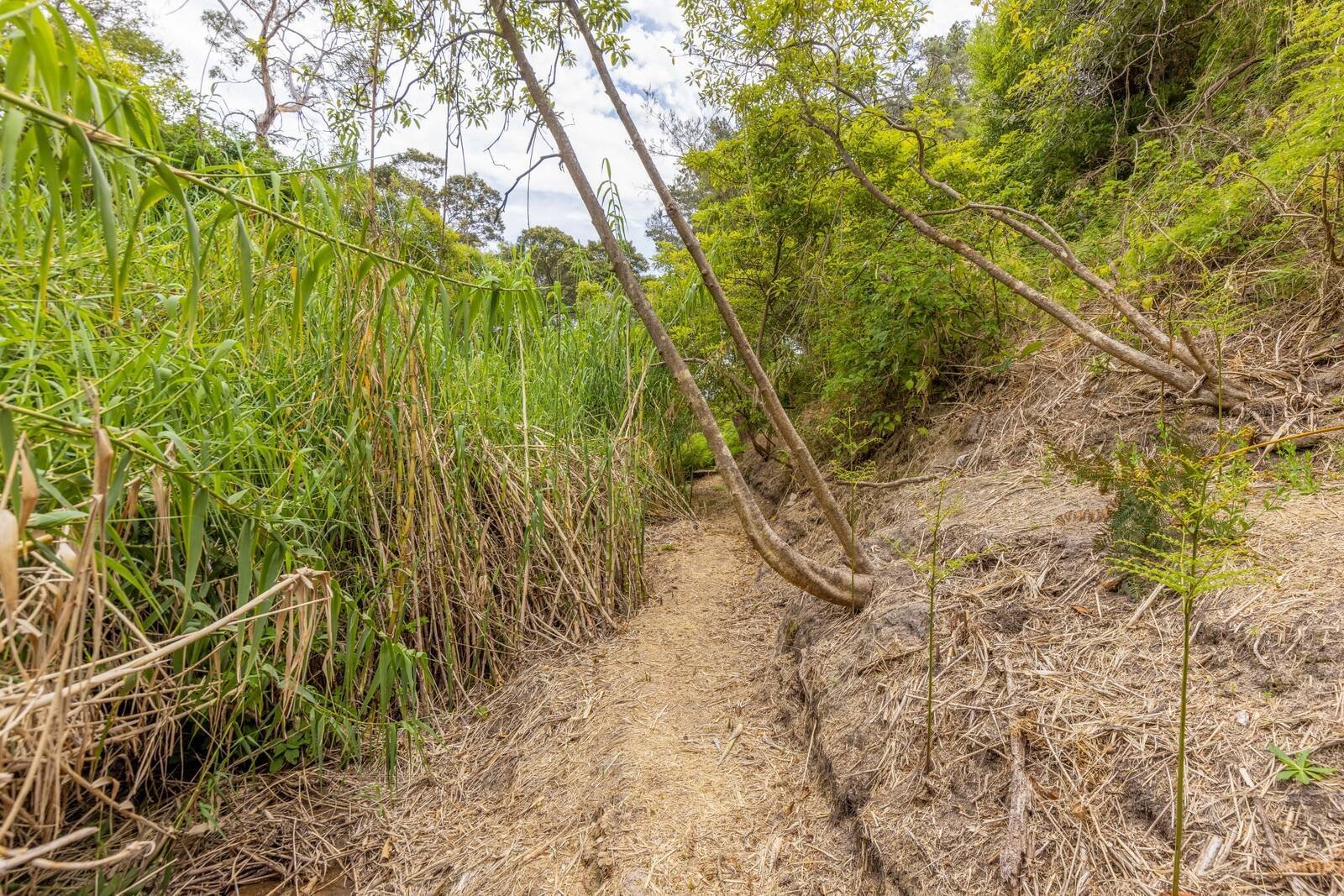 Real Estate and Property in 2-4 Wonga Lane, Mccrae, VIC