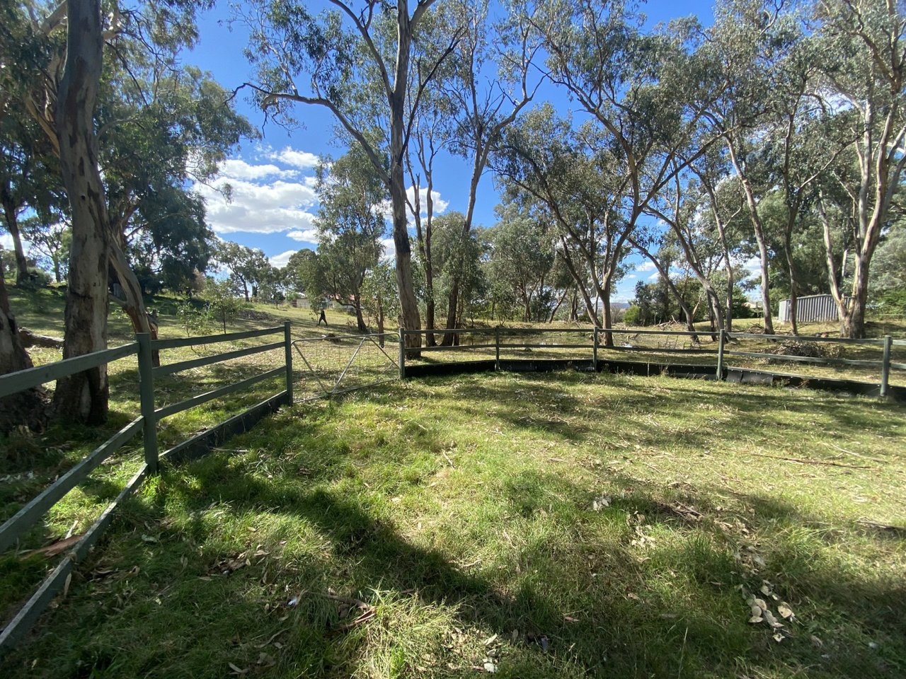 2-8 Carcoar Street BLAYNEY 22