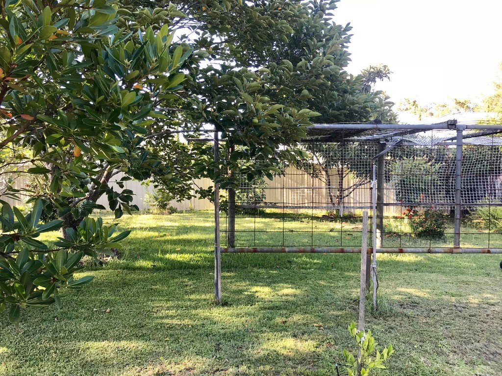 2 Austral Street NELSON BAY 10