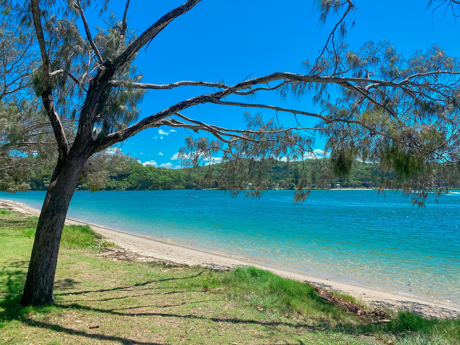 2 Biota Court PALM BEACH 16