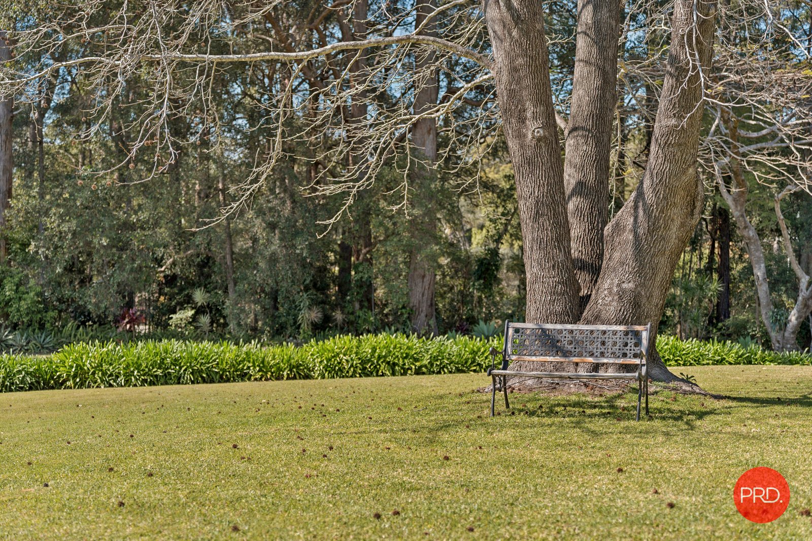 2 Bligh Drive BOAMBEE 24