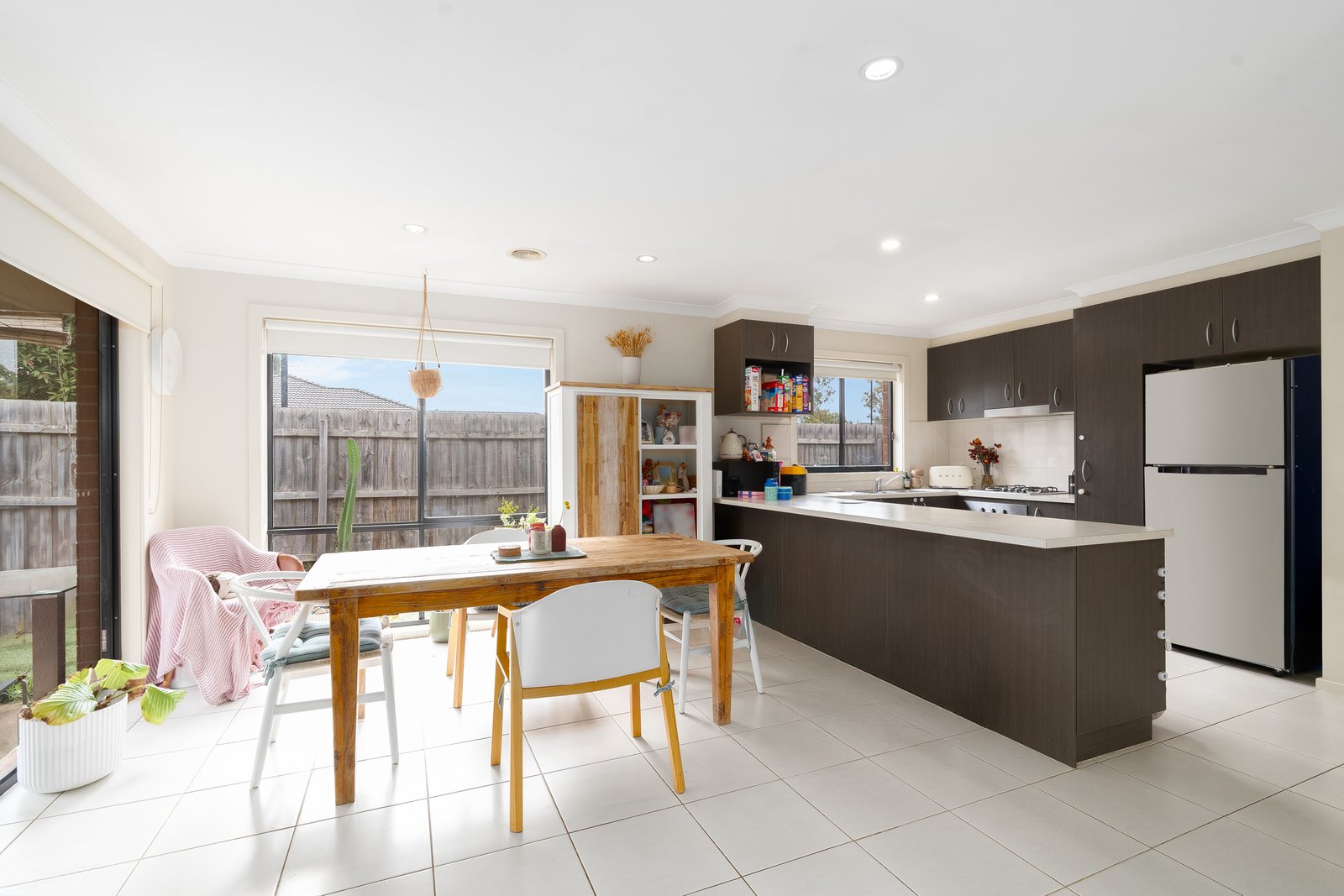 Gallery: 2 Border Collie Close