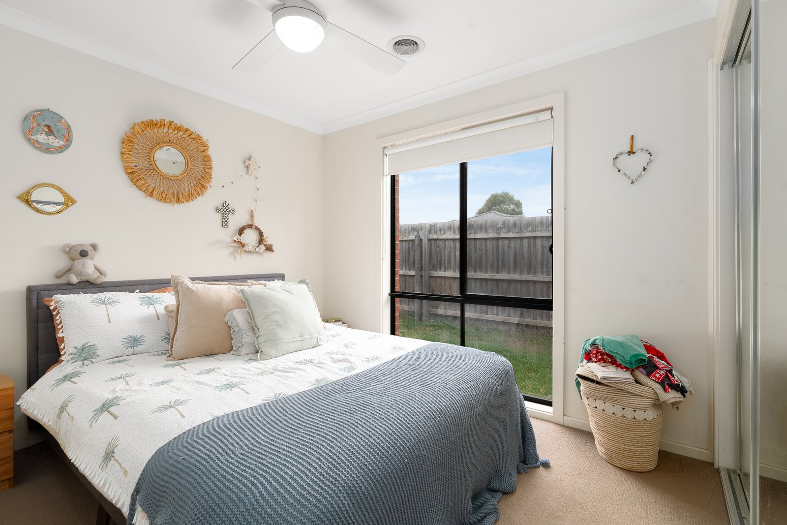 Gallery: 2 Border Collie Close