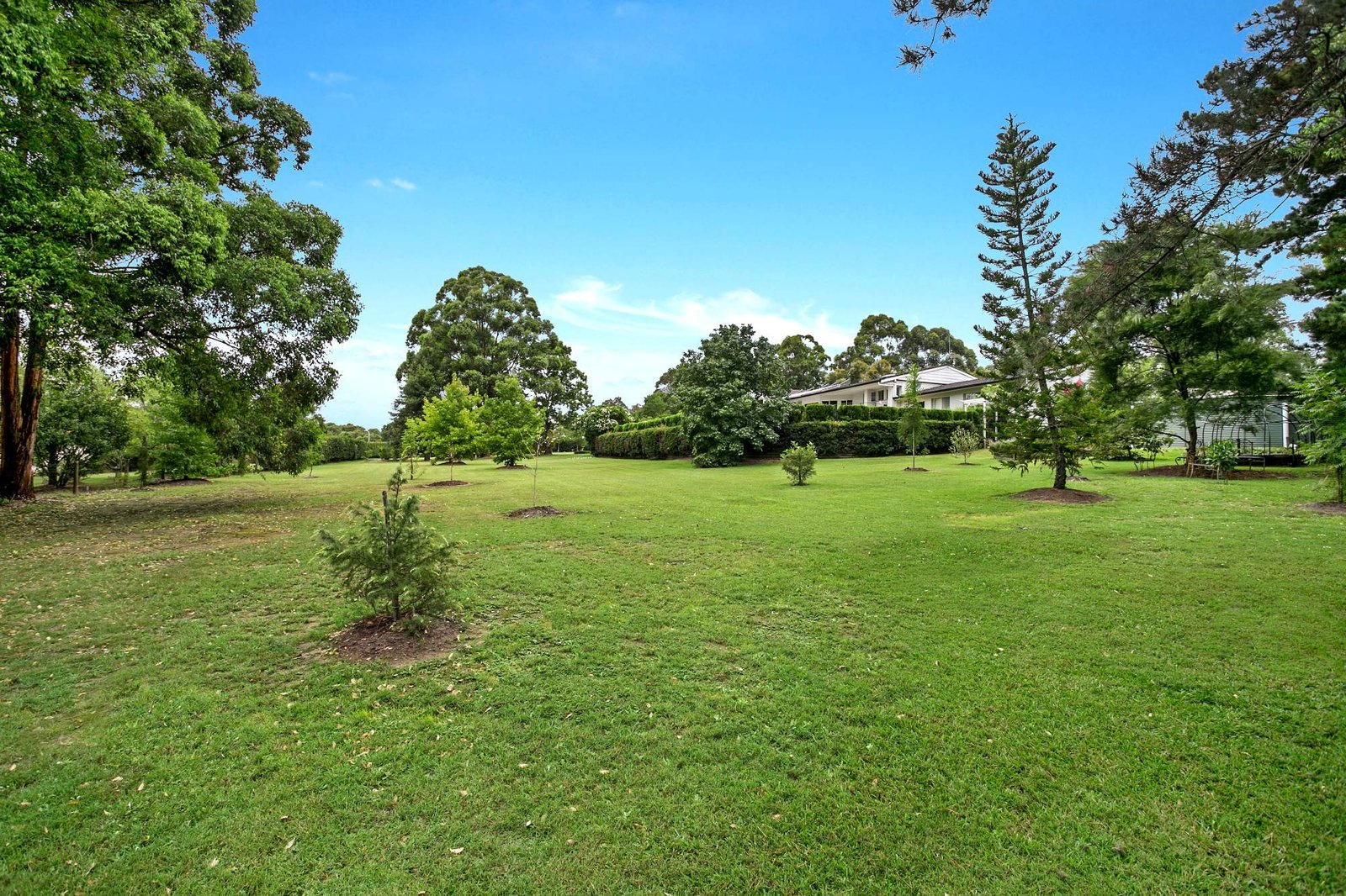 2 Brompton Close BOLWARRA HEIGHTS 21