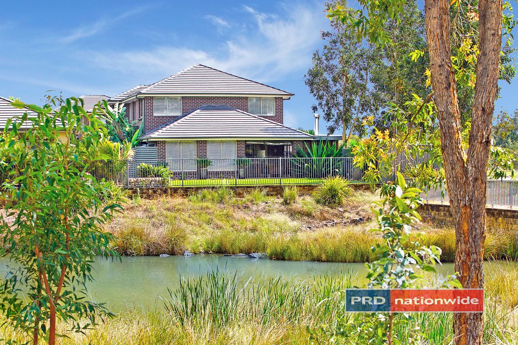 2 Bronzewing Common CRANEBROOK 2