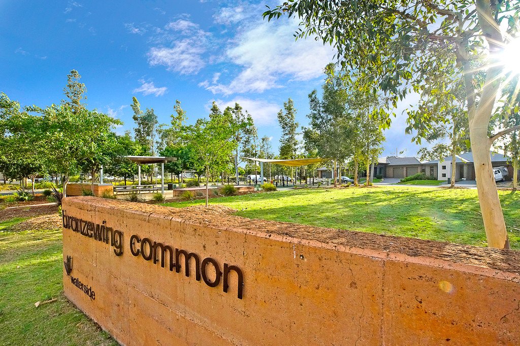 2 Bronzewing Common CRANEBROOK 13