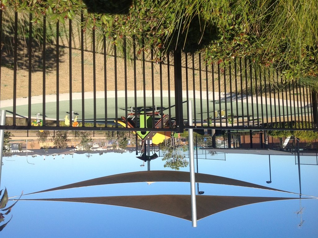 2 Bronzewing Common CRANEBROOK 16