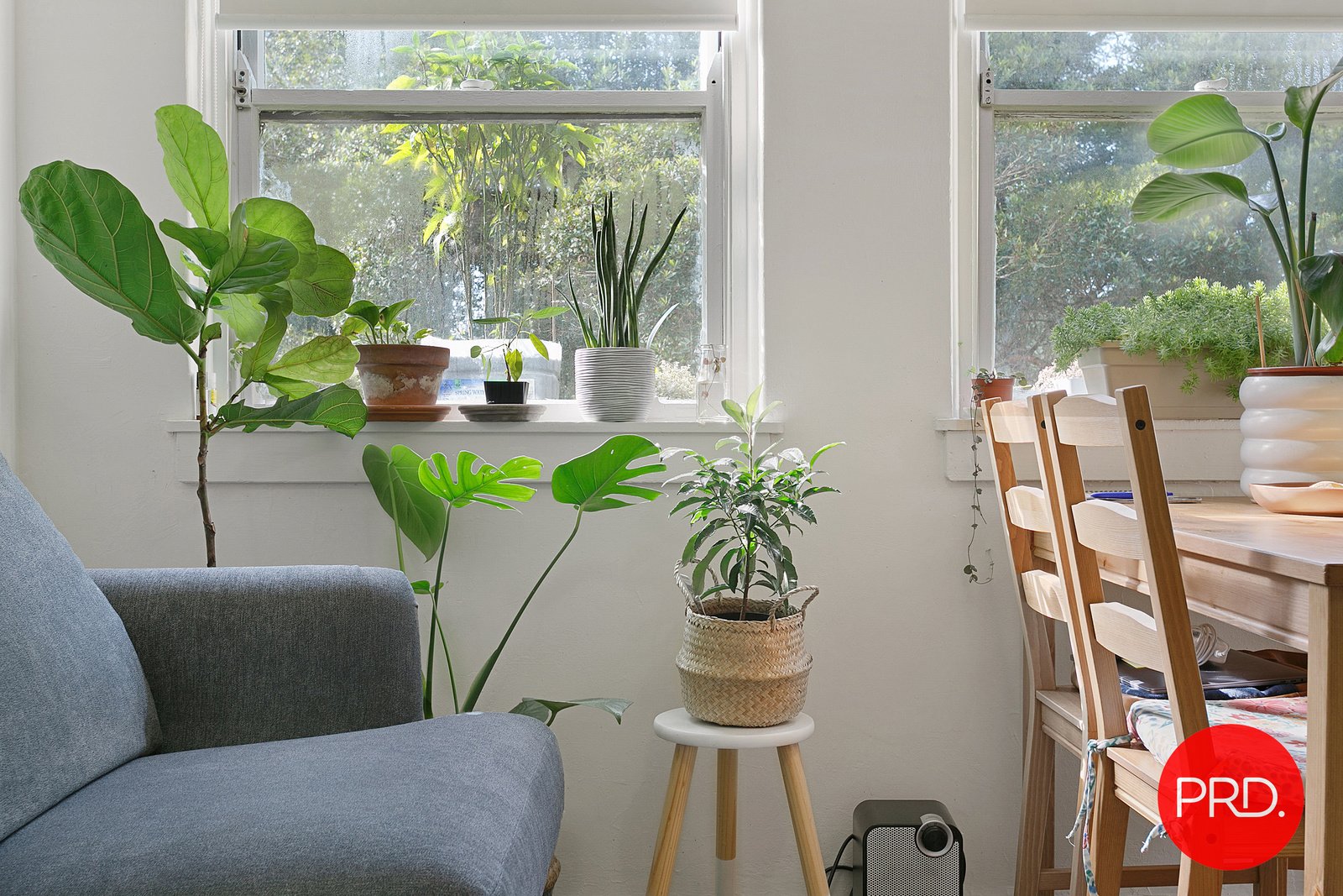 2 Cadia Street KOGARAH 5