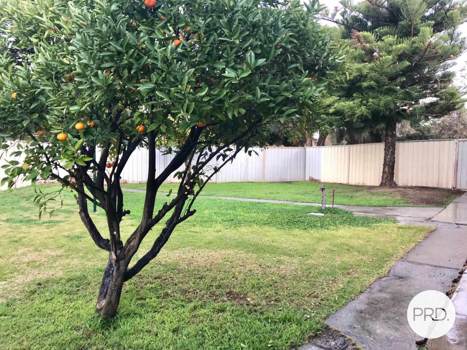 2 Dainton Street SHEPPARTON 5