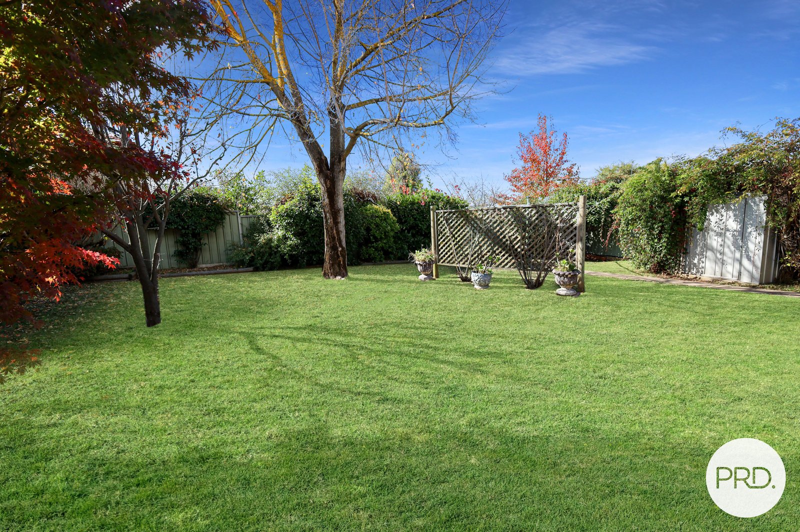 2 Darcy Place ORANGE 15