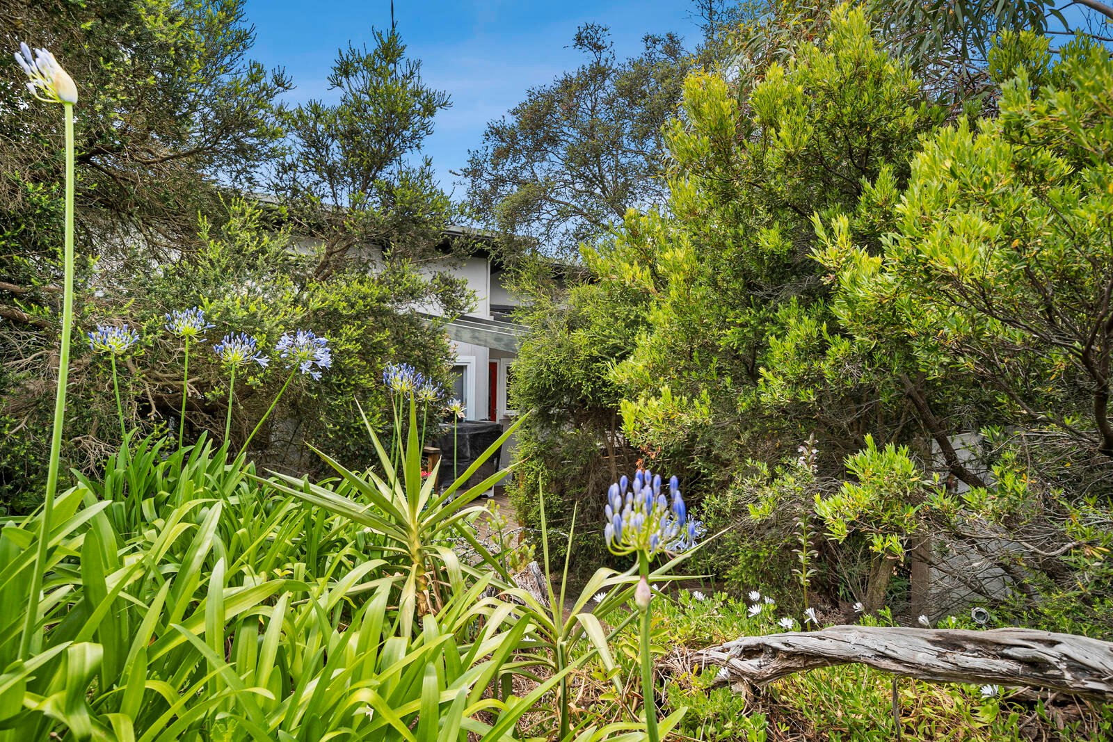 Real Estate and Property in 2 Darling Road, Sorrento, VIC