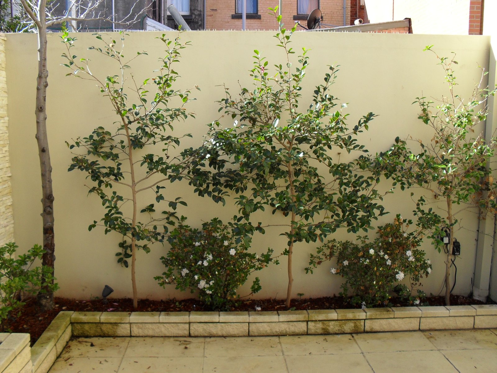 Gallery: 2 Emerald Street
