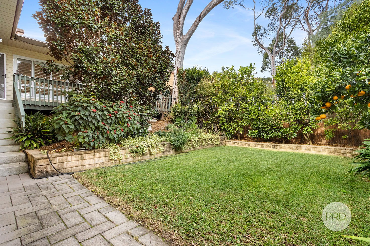 2 Evans Street PEAKHURST 14