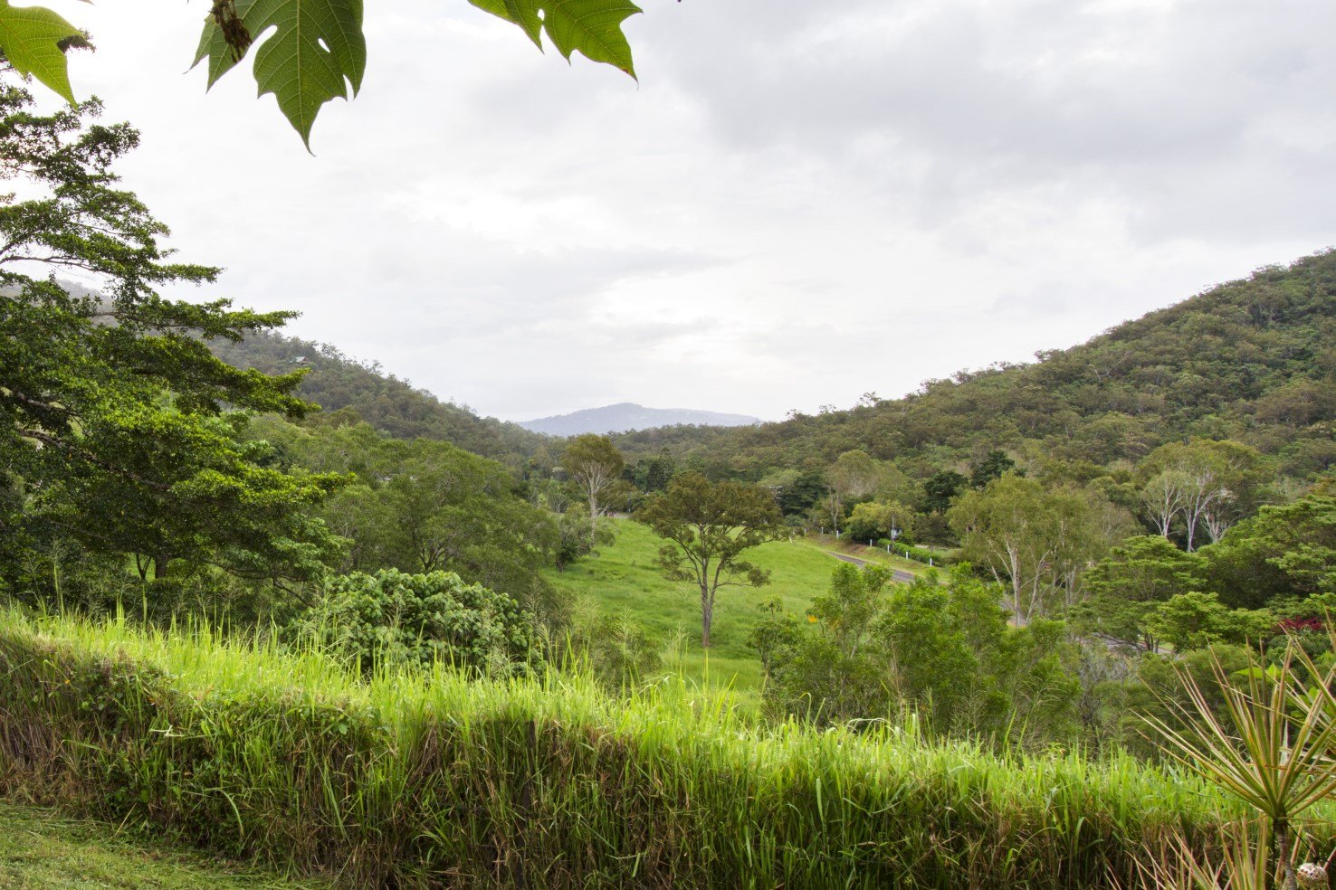 2 Forestry Road BRANDY CREEK 17