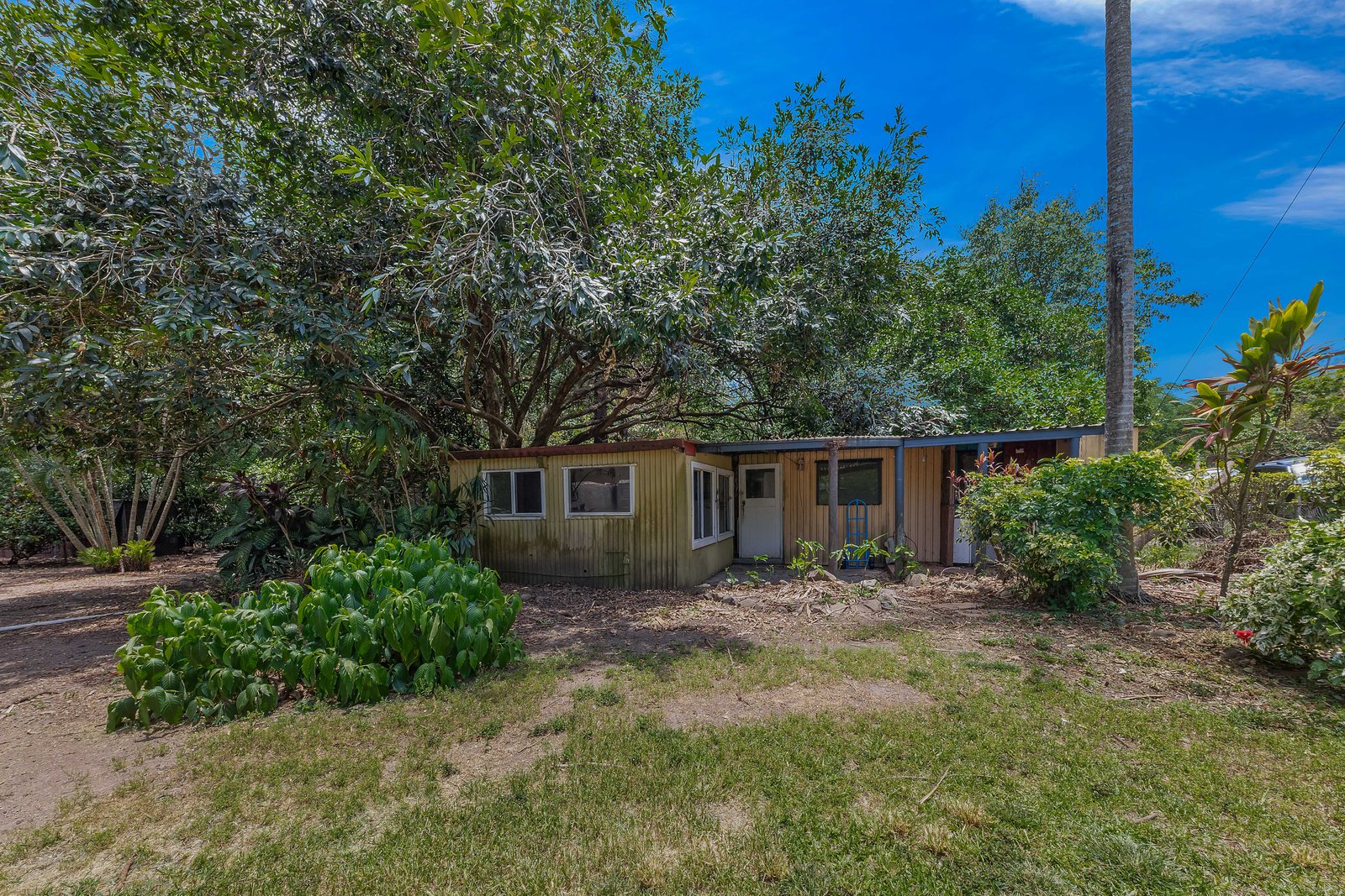 2 Frederick Street DITTMER 19