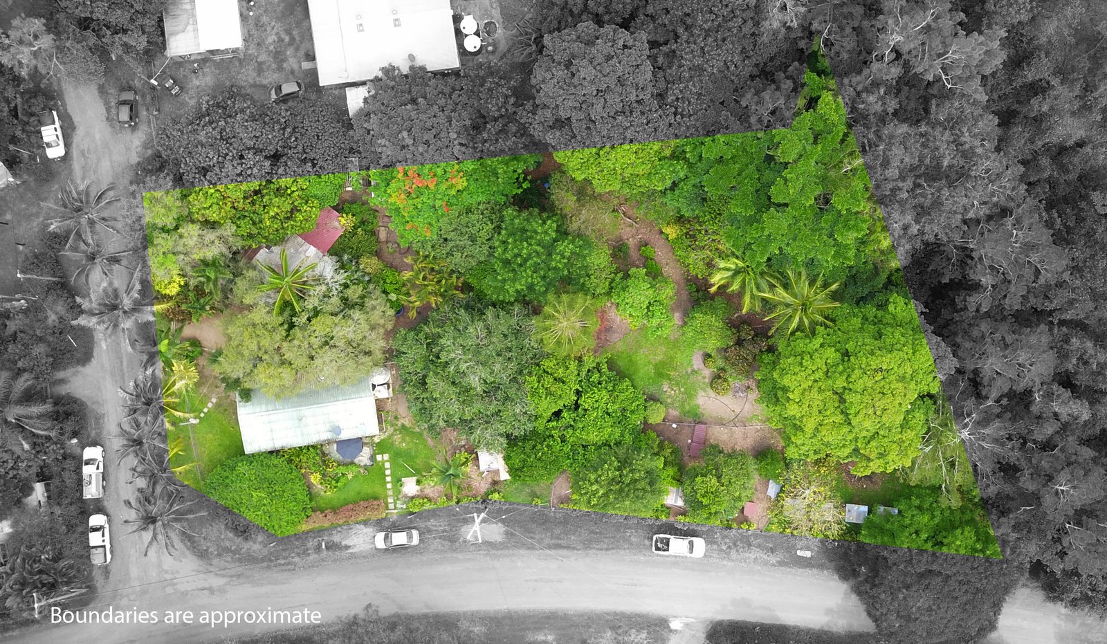 2 Frederick Street DITTMER 22