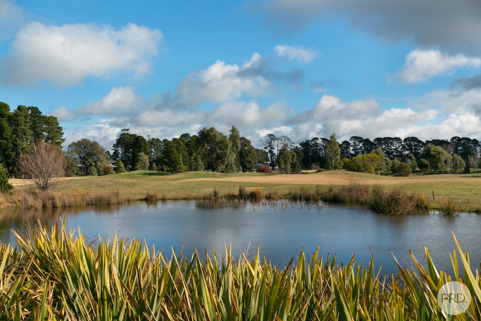 2 Goldwood Drive ALFREDTON 9