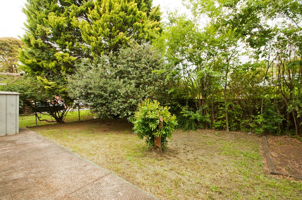 2 Govett Place FIGTREE 10