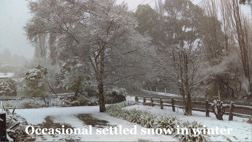 2 Hall Road COLLINSVALE 24