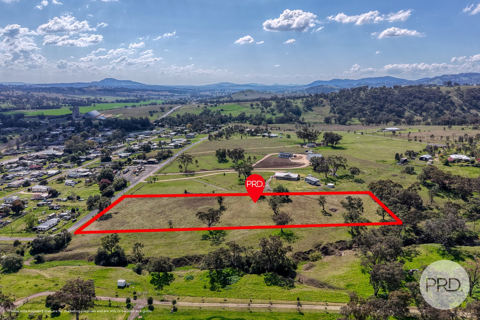 2 Hall Street WILLOW TREE 3