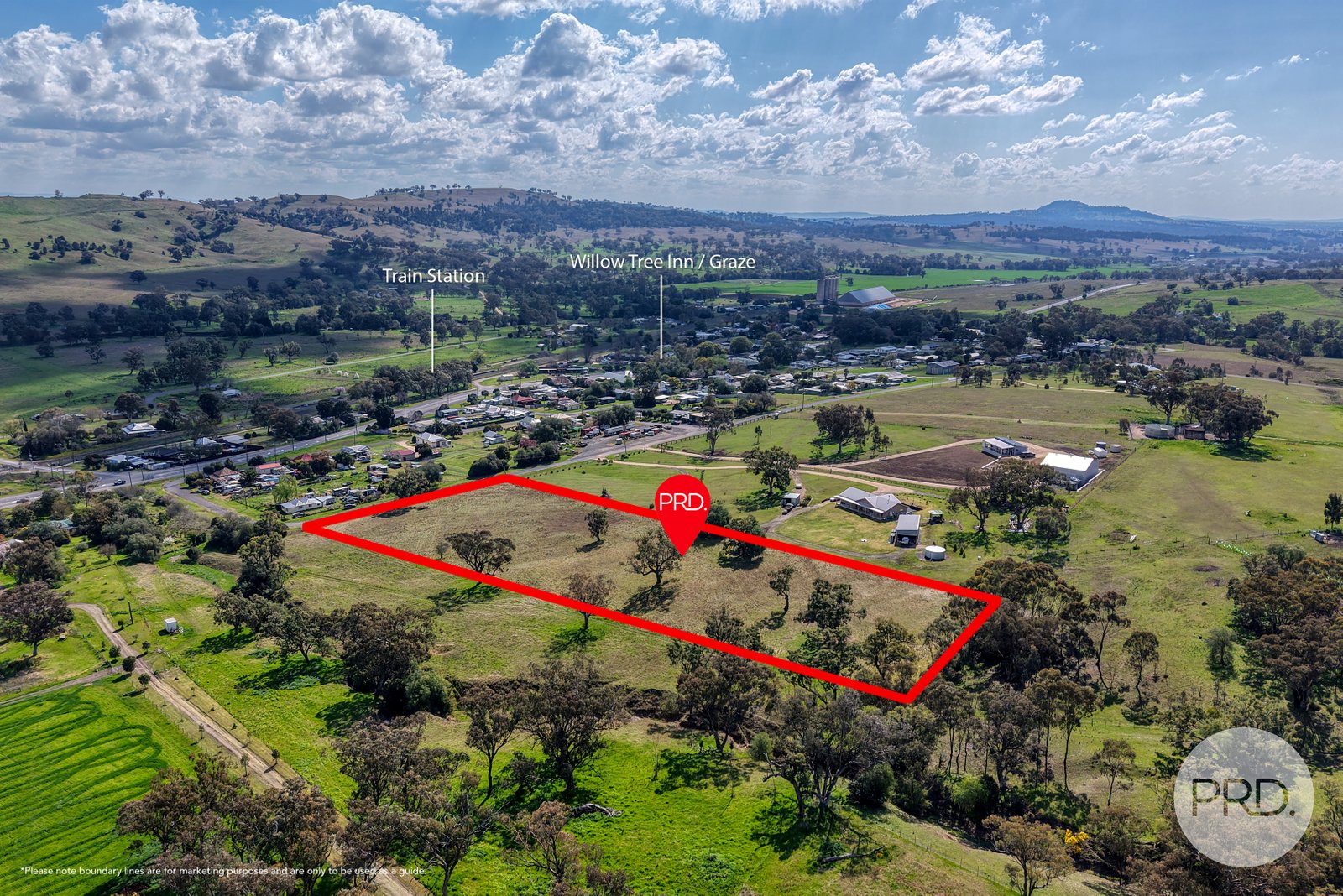 2 Hall Street WILLOW TREE 4