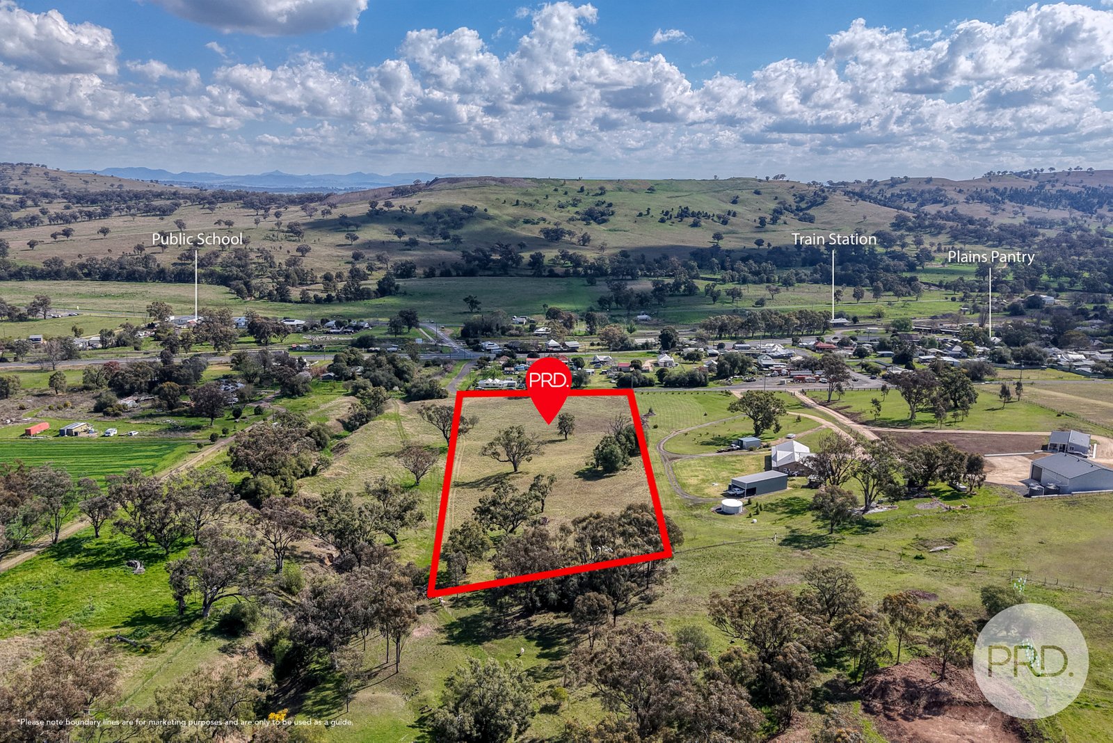 2 Hall Street WILLOW TREE 5