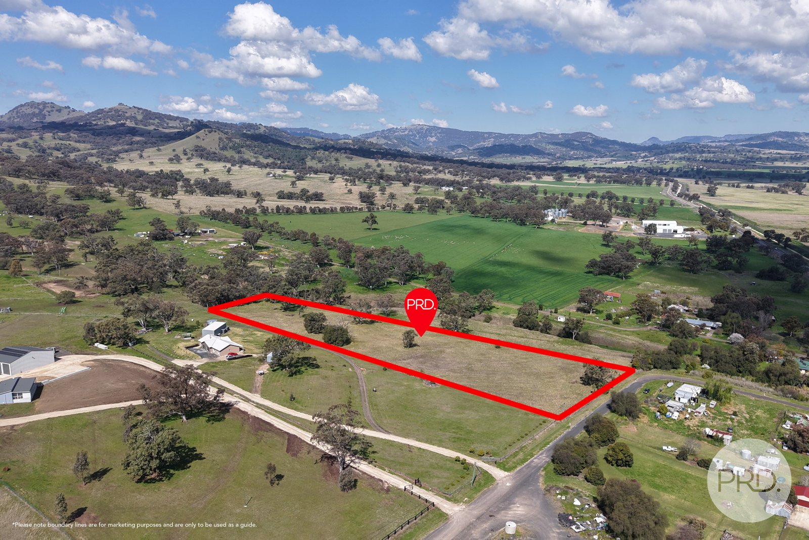 2 Hall Street WILLOW TREE 6