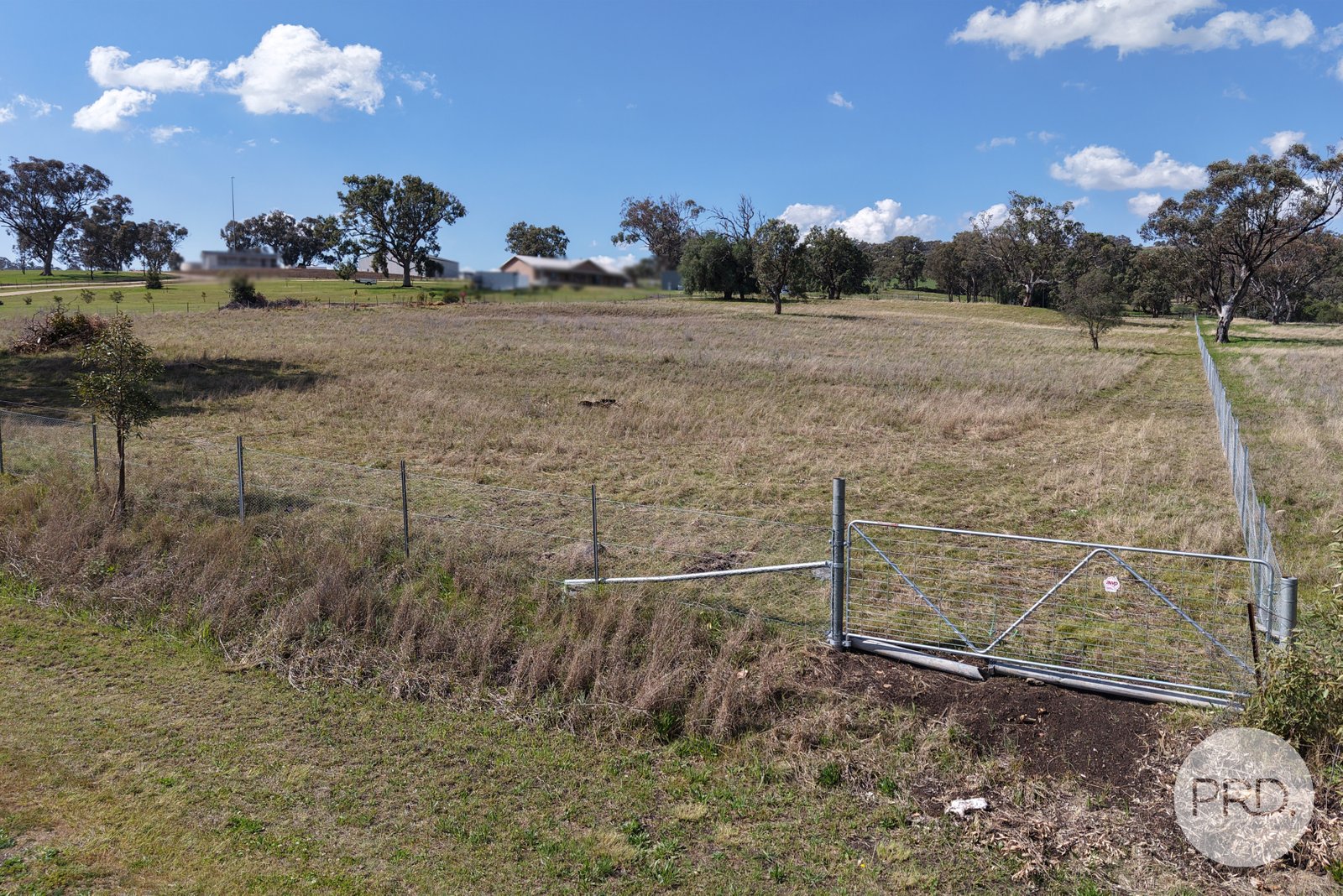 2 Hall Street WILLOW TREE 8