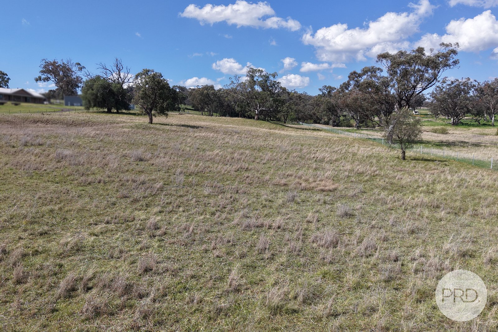 2 Hall Street WILLOW TREE 9