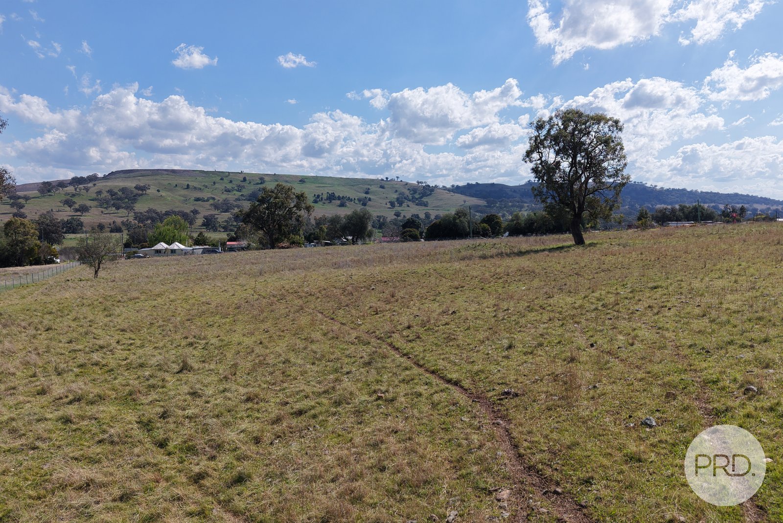 2 Hall Street WILLOW TREE 10