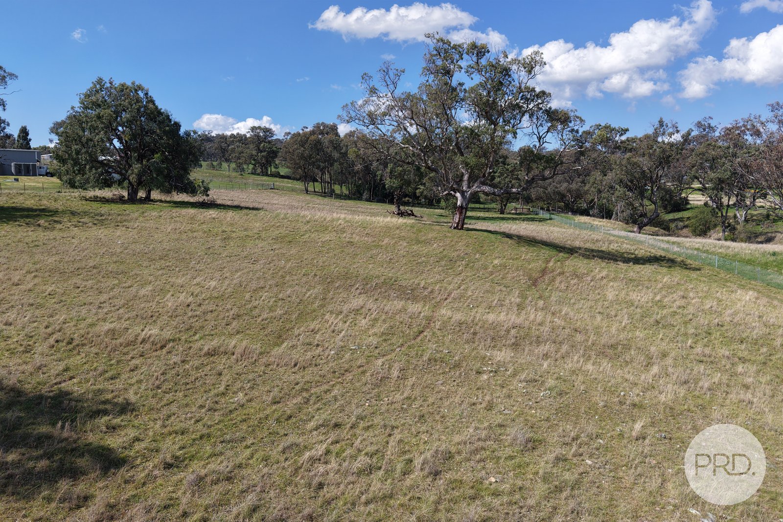 2 Hall Street WILLOW TREE 11