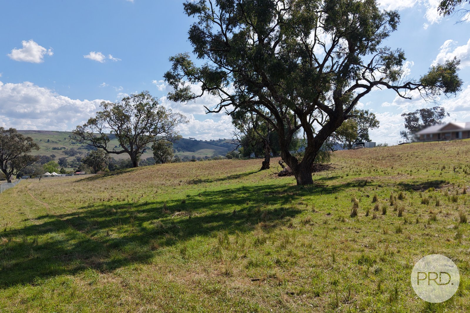 2 Hall Street WILLOW TREE 12