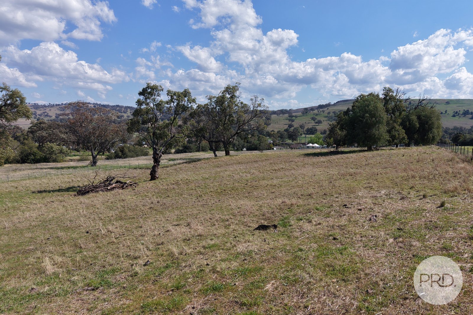 2 Hall Street WILLOW TREE 13