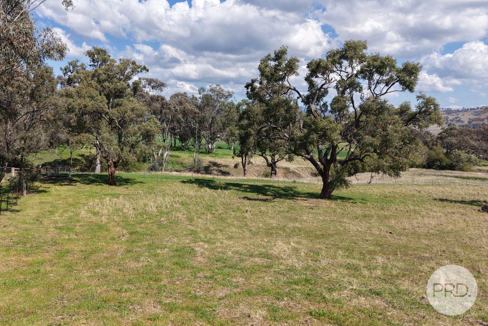 2 Hall Street WILLOW TREE 14