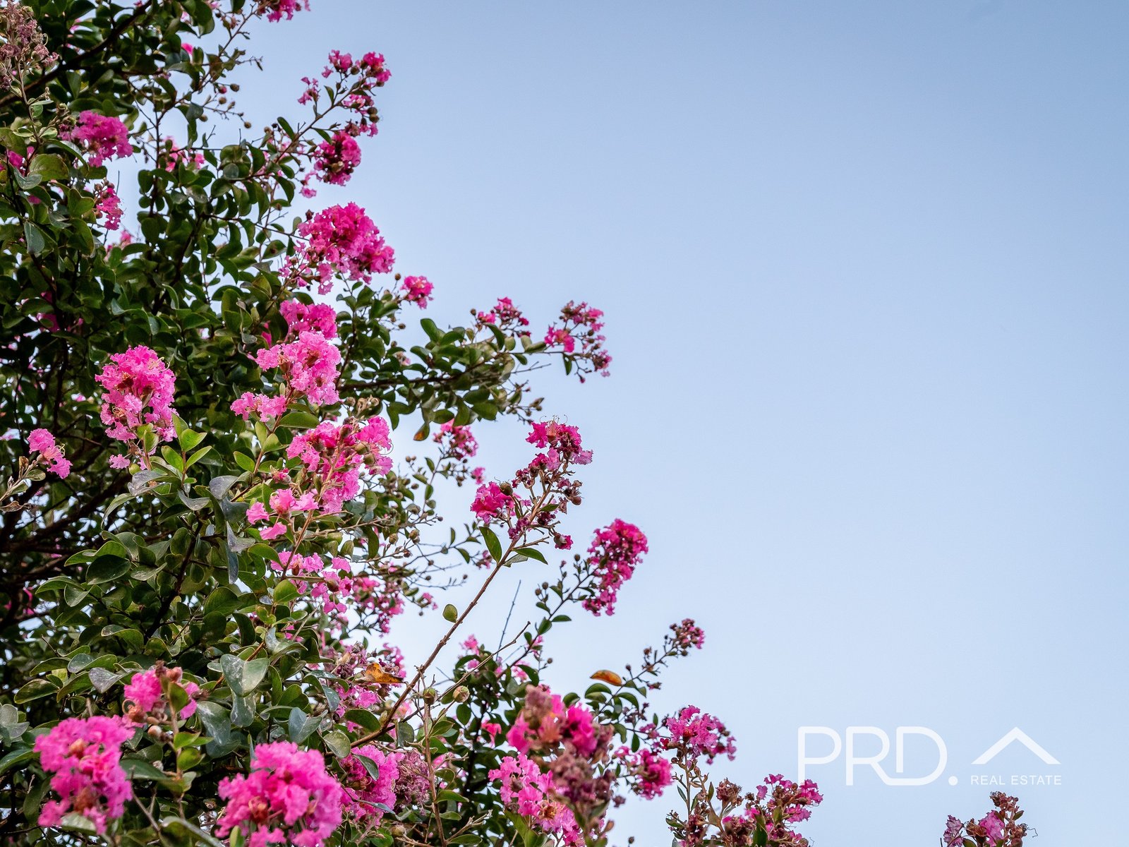 2 Handley Court SHEPPARTON 15