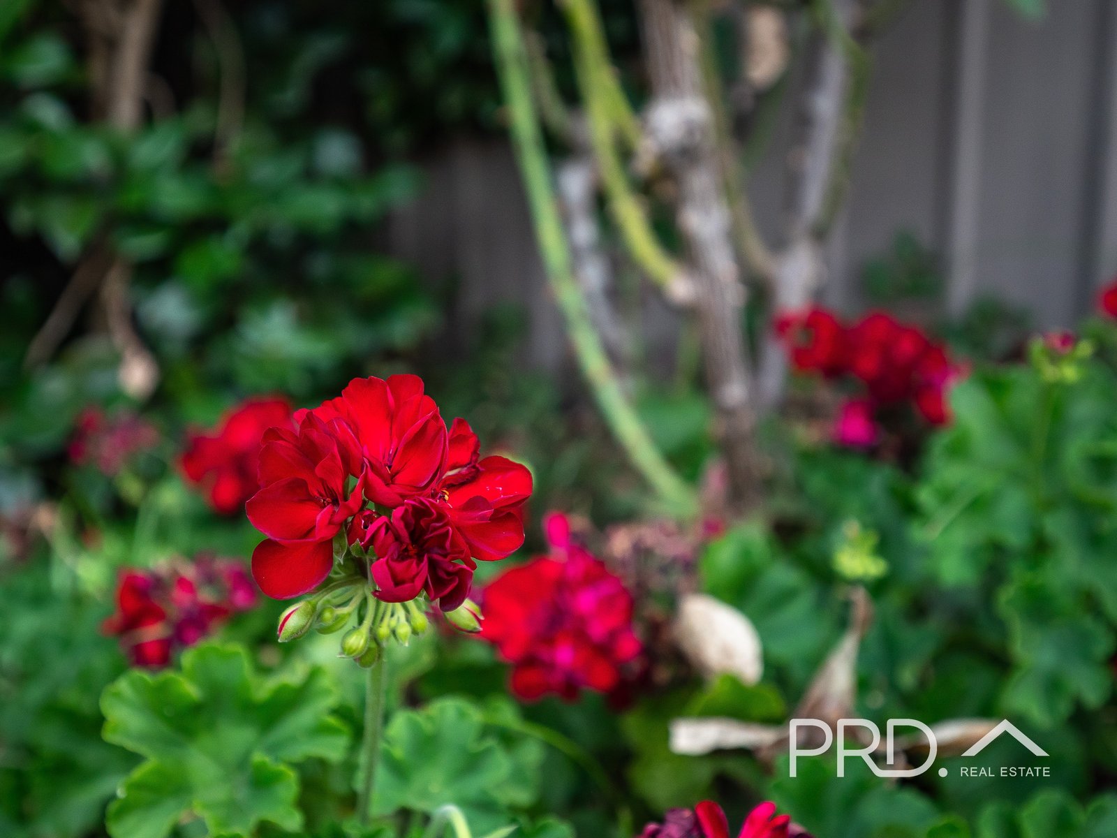 2 Handley Court SHEPPARTON 16