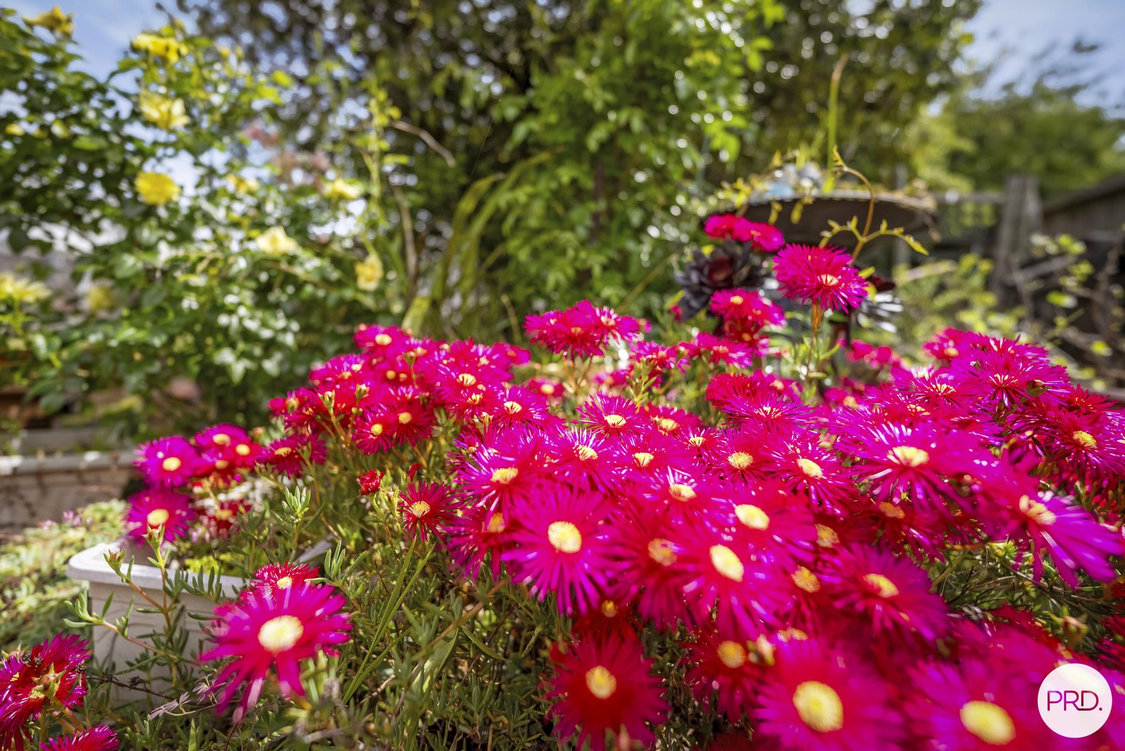 2 Hollycroft Way CLARENDON VALE 26