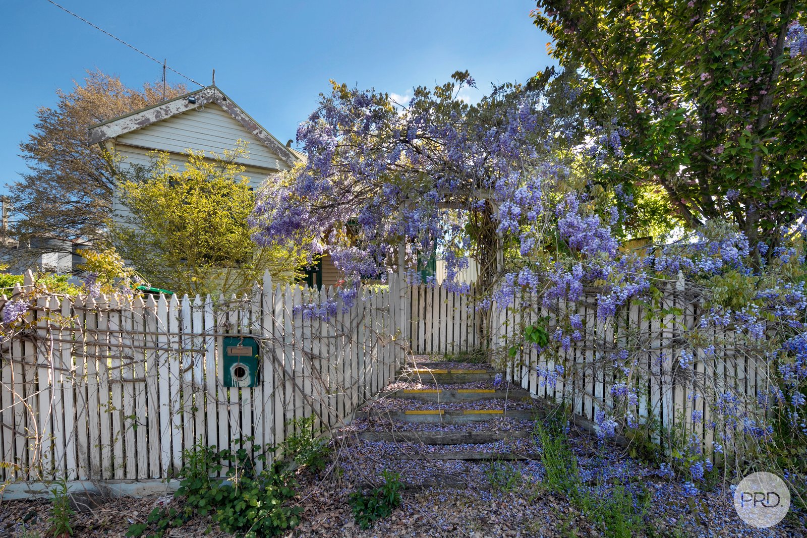 2 Holmes Street BALLARAT CENTRAL 19